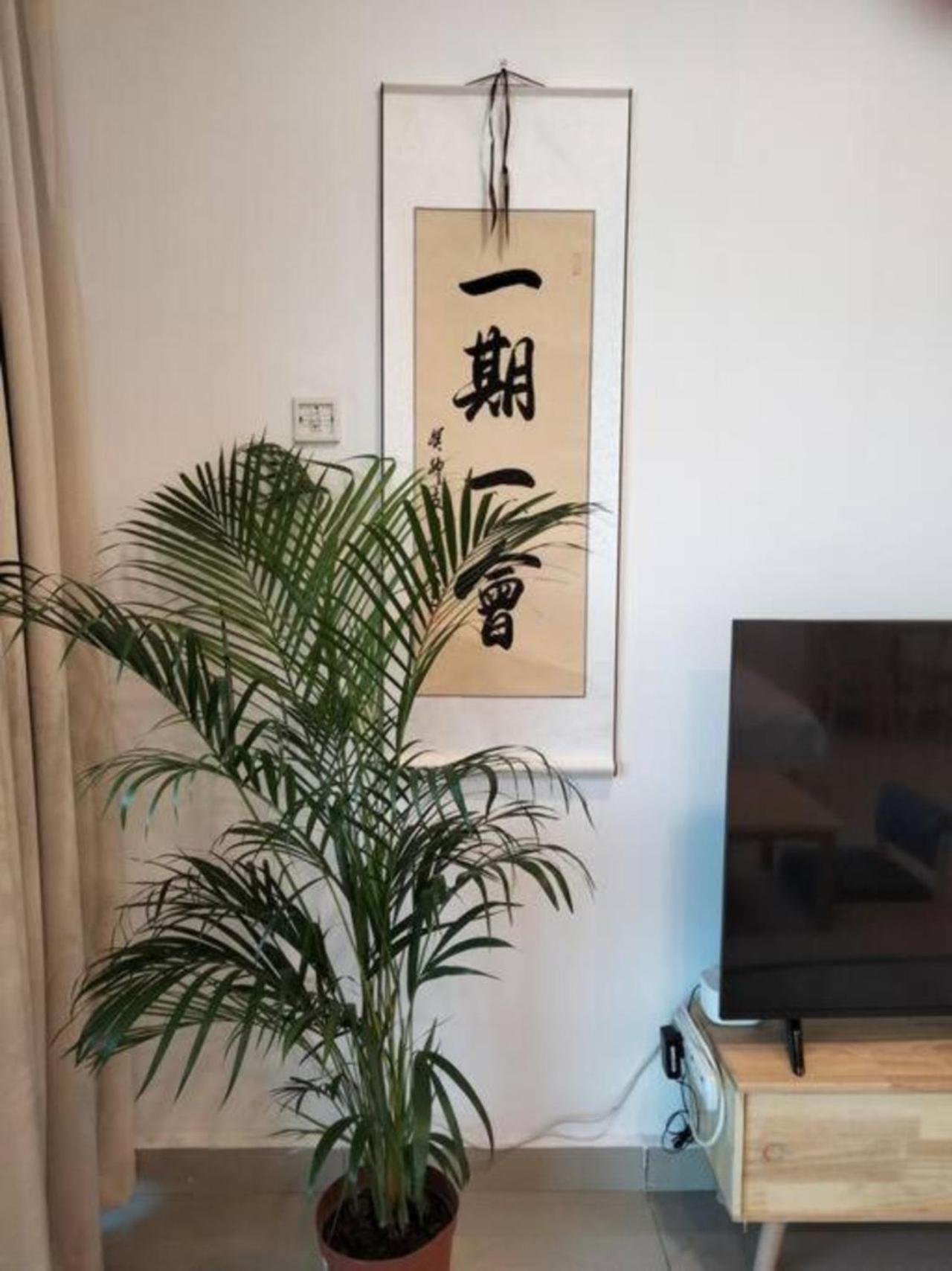 Apartment 035 Palazio Japanese Style Mount Austin Wifi & Netflix *