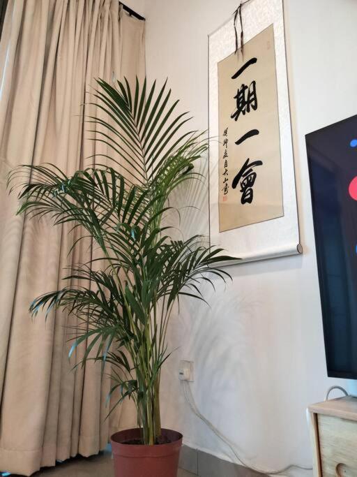 Apartment 035 Palazio Japanese Style Mount Austin Wifi & Netflix